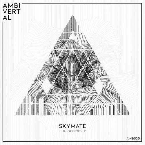 Skymate - The Sound [AMB030]